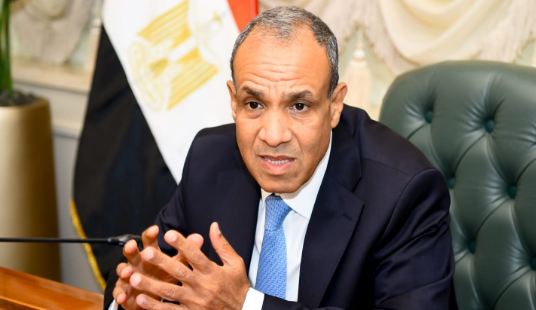 وزير الخارجية: ما يحدث في غزة عار على المجتمع الدولي والإنسانية