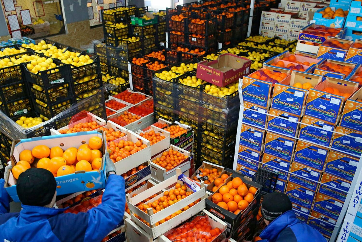 أكبر مستورد للمصنعات المصرية.. السعودية تستحوذ على 8% من الصادرات الغذائية