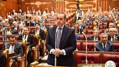 الوزير فوزي يتحدث عن مناقشة تعديل قانون التحكيم في مصر: “كلما تخلصنا من المعوقات، اقتربنا من توفير بيئة استثمارية صحيحة”