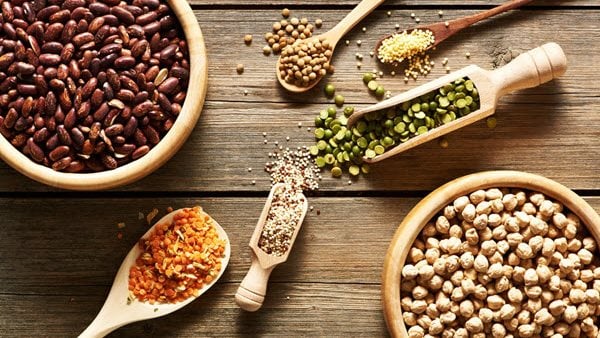 10 أطعمة نباتية غنية بالبروتين 10 أطعمة نباتية غنية بالبروتين