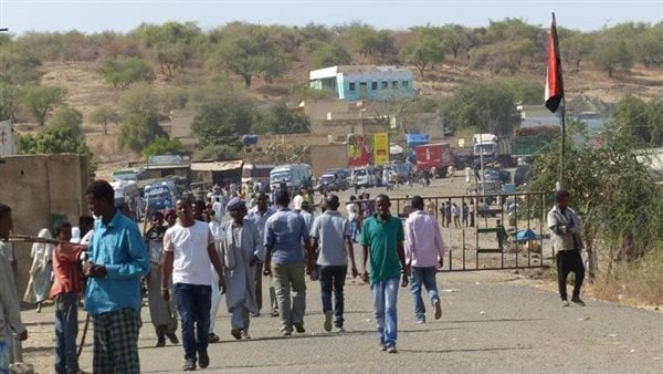 مصر تدين هجمات استهدفت مخيم زمزم بدارفور في السودان مصر تدين هجمات استهدفت مخيم زمزم بدارفور في السودان