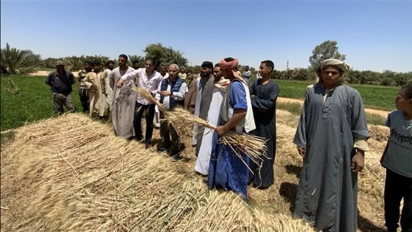 البحوث الزراعية يبحث تدشين محطة بحثية في الفرافرة بالوادي الجديد