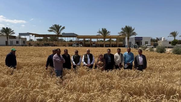 مركز بحوث الصحراء يتابع الأنشطة البحثية في جنوب سيناء ويشيد بالنتائج