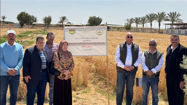 "بحوث الصحراء" يتابع الأنشطة البحثية في جنوب سيناء