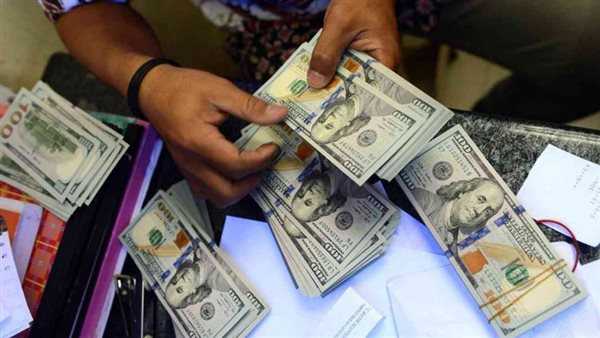 المركزي: 20.0 مليار دولار حصيلة تحويلات المصريين بالخارج خلال أول 7 أشهر من 2024-2025