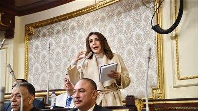 النائبة فاطمة سليم تتقدم بطلب إحاطة بشأن تأثير ارتفاع أسعار الورق والأحبار على قطاعي الثقافة والتعليم