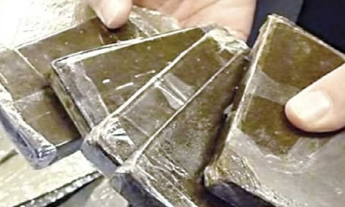 بحوزتهم 80 كيلو حشيش.. سقوط 3 من أباطرة الكيف في الإسماعيلية والإسكندرية