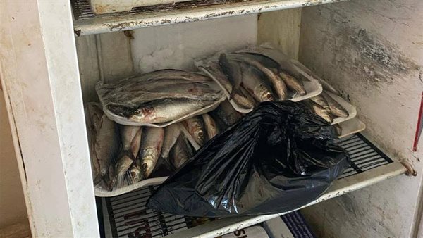 صحة السويس تشن حملات على محال بيع الأسماك المملحة قبل أعياد شم النسيم