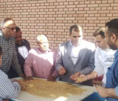 المنيا تستقبل 1726 طناً من القمح مع انطلاق موسم الحصاد لعام 2025 المنيا تستقبل 1726 طناً من القمح مع انطلاق موسم الحصاد لعام 2025