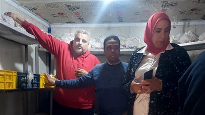 محافظ الدقهلية : ضبط أكثر من 14 طن أسماك ولحوم مخالفة للمواصفات
