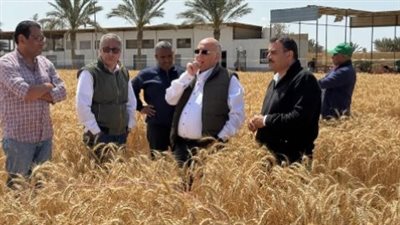 مدير الإرشاد الزراعي بالفيوم: فريق متكامل من مركز البحوث الزراعية ينقل كل التوصيات الفنية للمزارع قبل الزراعة مدير الإرشاد الزراعي بالفيوم: فريق متكامل من مركز البحوث الزراعية ينقل كل التوصيات الفنية للمزارع قبل الزراعة