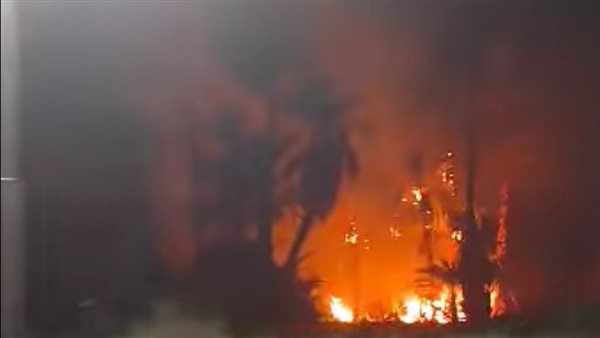 صور| السيطرة على حريق هائل بأشجار نخيل في إسنا جنوب الأقصر