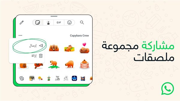 لإطلاق ملصقات بروح مصرية.. واتساب يتعاون مع نجوم الفن والنادي الأهلي