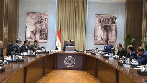 رئيس الوزراء يتابع عددًا من ملفات العمل المشتركة بين وزارتي المالية والتموين رئيس الوزراء يتابع عددًا من ملفات العمل المشتركة بين وزارتي المالية والتموين
