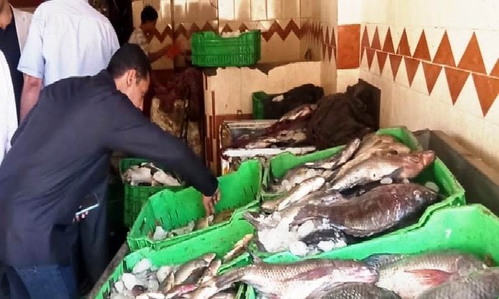 أسوان تُحكم الرقابة على الأسواق قبل شم النسيم.. تحرير 26 محضرًا وإعدام 35 كجم أسماك فاسدة أسوان تُحكم الرقابة على الأسواق قبل شم النسيم.. تحرير 26 محضرًا وإعدام 35 كجم أسماك فاسدة
