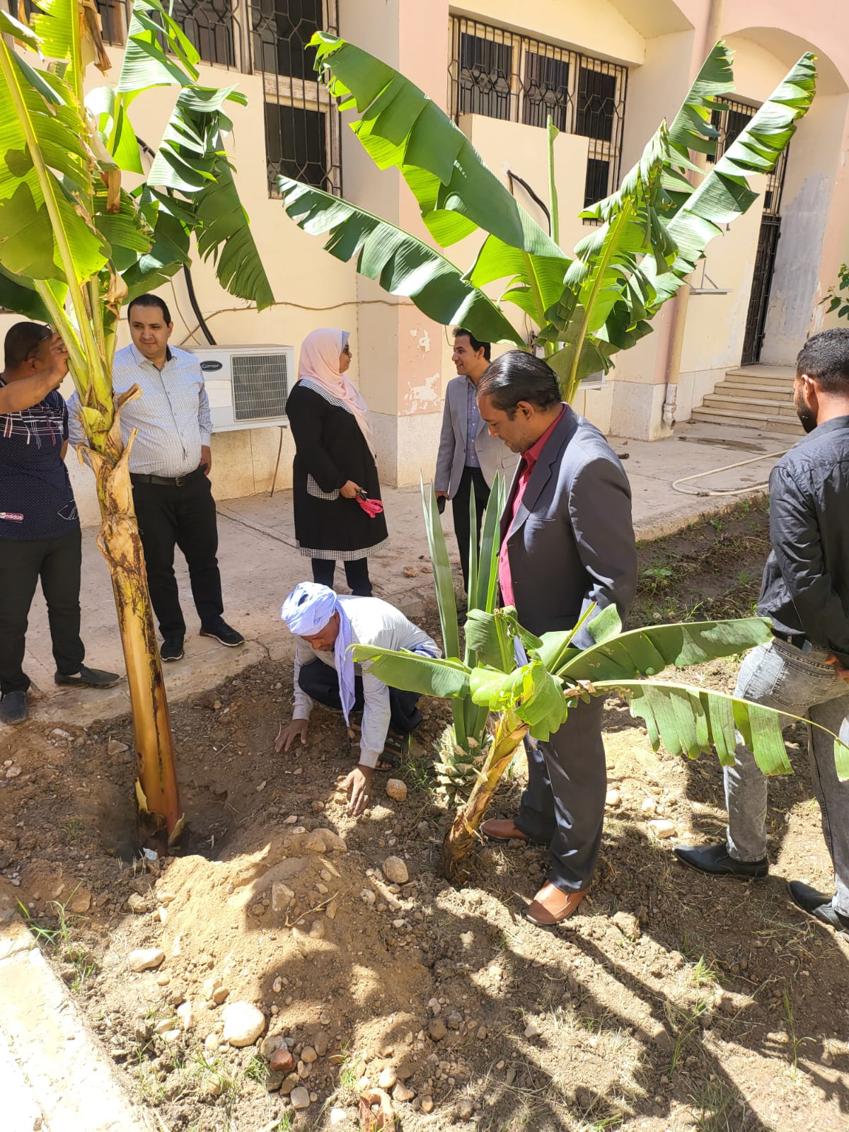 الأسبوع الأخضر بكلية السياحة والفنادق (9)