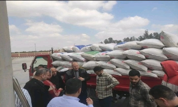 تزامنا مع إنطلاق موسم الحصاد … صوامع الشرقية تستقبل 600 طن قمح