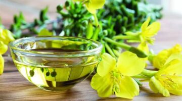 ‎زيت زهرة الربيع المسائية.. فوائده الصحية ومخاطره المحتملة