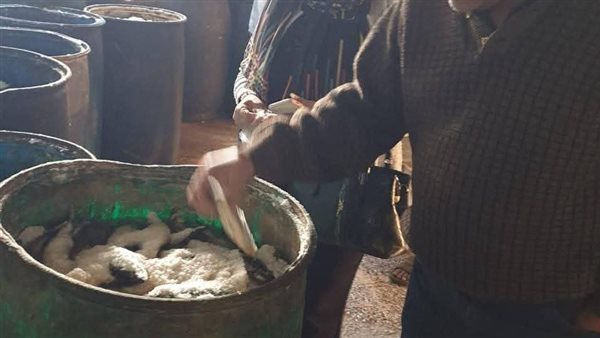 ضبط 8 أطنان أسماك مجمدة ومدخنة مخالفة في الشرقية ضبط 8 أطنان أسماك مجمدة ومدخنة مخالفة في الشرقية