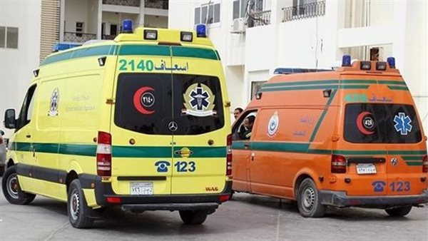 شابان أبناء عمومة يقتلان بعضهما في مشاجرة على كورنيش الإسكندرية| بث مباشر