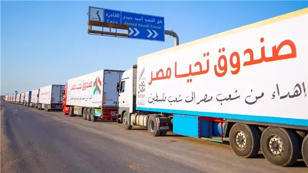 قيادي بحركة فتح: الدور المصري والأردني حيوي في كبح جماح التمدد الإسرائيلي