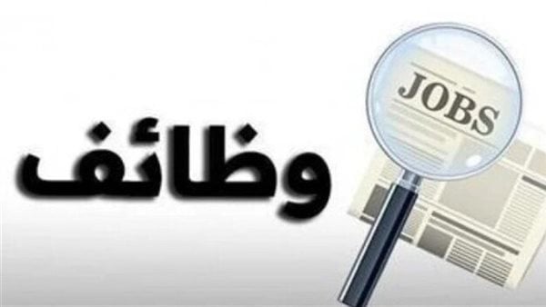 محافظة بورسعيد تعلن توفير 147 فرصة عمل جديدة لشباب الخريجين.. طريقة التقديم محافظة بورسعيد تعلن توفير 147 فرصة عمل جديدة لشباب الخريجين.. طريقة التقديم