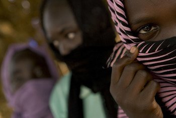 أعضاء مجلس الأمن يدينون هجمات “الدعم السريع” على نازحين بالسودان أعضاء مجلس الأمن يدينون هجمات “الدعم السريع” على نازحين بالسودان