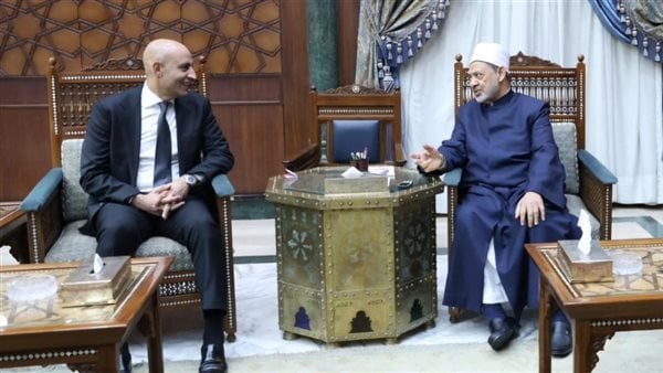 شيخ الأزهر ووزير التعليم يناقشان تضمين وثيقة الأخوة الإنسانية في المناهج التعليمية شيخ الأزهر ووزير التعليم يناقشان تضمين وثيقة الأخوة الإنسانية في المناهج التعليمية