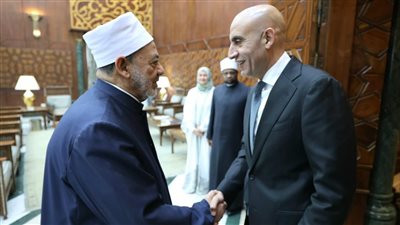 شيخ الأزهر ووزير التعليم يناقشان تضمين «وثيقة الأخوة الإنسانية» في المناهج التعليمية