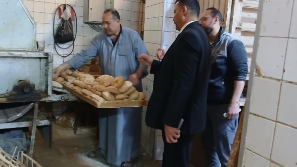 تحرير 654 محضر مخالفات وضبط 32 شيكارة دقيق بلدي وفاخر مجهولة المصدر بالمنوفية تحرير 654 محضر مخالفات وضبط 32 شيكارة دقيق بلدي وفاخر مجهولة المصدر بالمنوفية