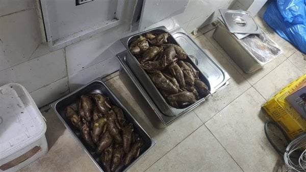 ضبط منتجات غذائية مجهولة المصدر خلال حملات على المطاعم والمحال بالعبور ضبط منتجات غذائية مجهولة المصدر خلال حملات على المطاعم والمحال بالعبور