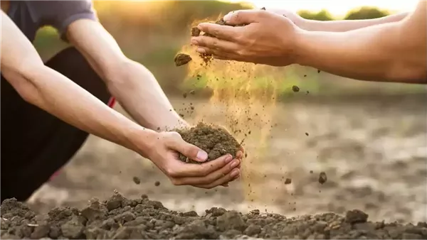 دار الإفتاء: الخير في خمسة أشياء.. تعرّف عليها
