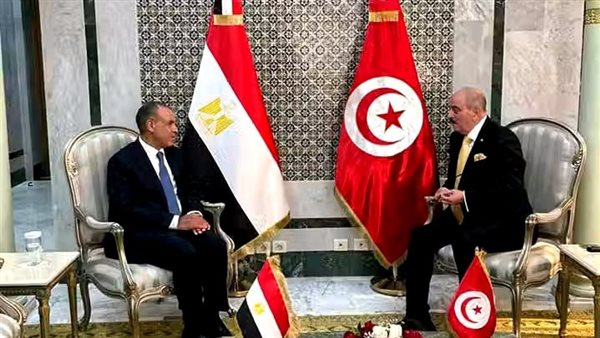 وزير الخارجية يعقد جلسة مباحثات مع نظيره التونسي وزير الخارجية يعقد جلسة مباحثات مع نظيره التونسي