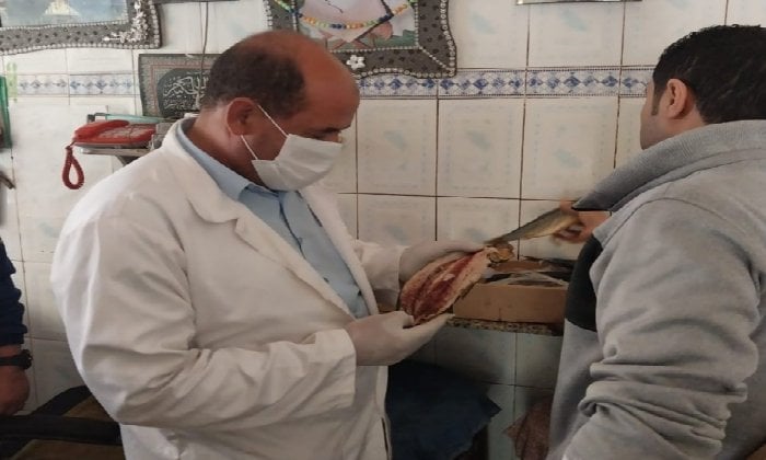 ضبط 8.5 طن أسماك غير صالحة في حملات مكثفة لـ بيطري الغربية استعدادًا لأعياد الربيع