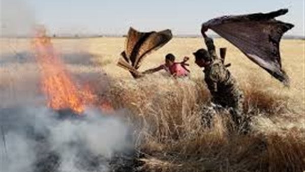 النيران تلتهم كمية من محصول القمح بمركز دار السلام في سوهاج النيران تلتهم كمية من محصول القمح بمركز دار السلام في سوهاج