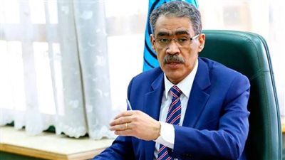 ضياء رشوان يتحدث عن جهود مصر وقطر لوقف الحرب في غزة ودعم الشعب الفلسطيني