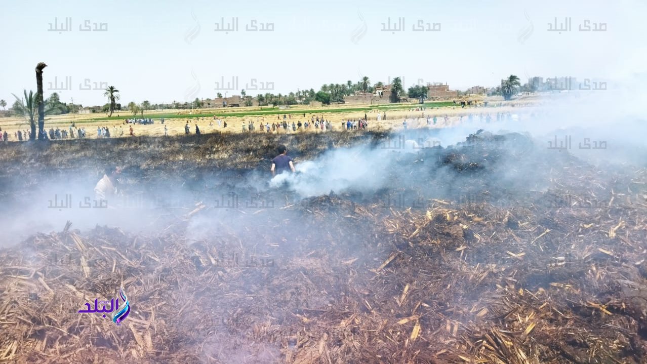 نشوب حريق في كمية من القمح بدار السلام في سوهاج نشوب حريق في كمية من القمح بدار السلام في سوهاج
