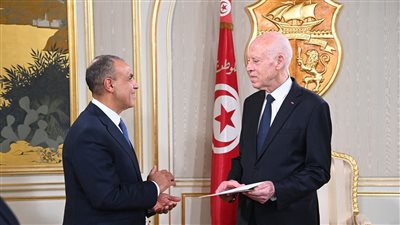 وزير الخارجية يسلم رسالة من الرئيس السيسي إلى نظيره التونسي