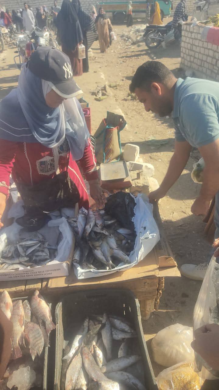جانب من حملات الصحة