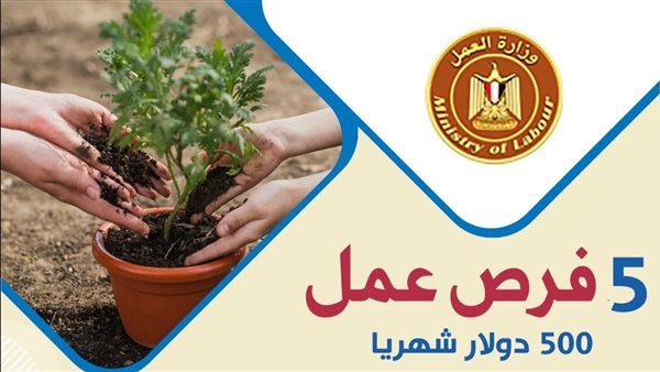براتب يعادل 25 ألف جنيه.. فرص عمل للزراعيين في لبنان