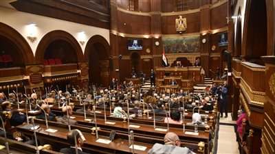 وكيلة الشيوخ: الخطة التنموية الجديدة عملية وقابلة للتكيف.. وتؤكد على تعزيز قدرات الإنسان المصري وكيلة الشيوخ: الخطة التنموية الجديدة عملية وقابلة للتكيف.. وتؤكد على تعزيز قدرات الإنسان المصري