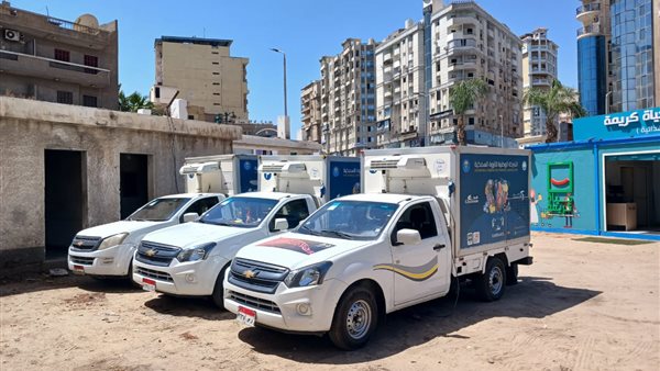 محافظ البحيرة: توفير سيارات لبيع الأسماك بأسعار مخفضة