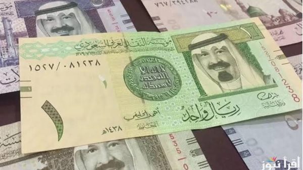 استقرار حذر.. سعر الريال السعودي يواصل ثباته أمام الجنيه اليوم الأحد