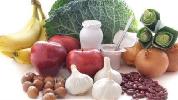 10 نصائح غذائية فعّالة لتعزيز البروبيوتيك في الجسم.. تعرف عليها 10 نصائح غذائية فعّالة لتعزيز البروبيوتيك في الجسم.. تعرف عليها