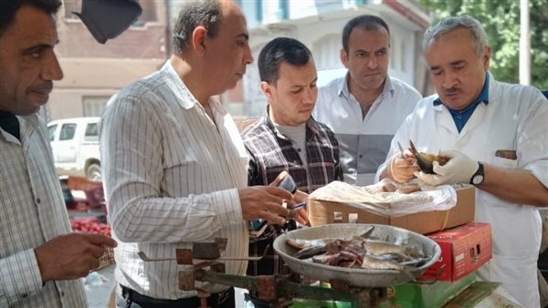 ضبط 103 مخالفة تموينية متنوعة بمراكز الفيوم.. صور