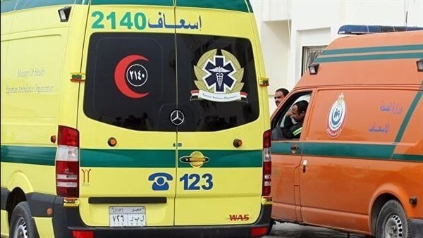 إصابة 17 عاملًا في انقلاب سيارة ربع نقل بالدقهلية│ أسماء