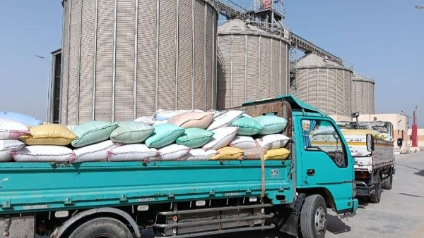 المواقع التخزينية بالشرقية تستقبل 9798 طن قمح