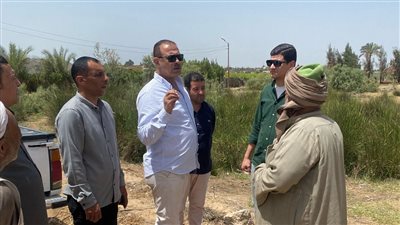 محافظ الإسماعيلية يشدد على استرداد أراضي الدولة وتنفيذ القانون بحسم ضد المتعدين محافظ الإسماعيلية يشدد على استرداد أراضي الدولة وتنفيذ القانون بحسم ضد المتعدين