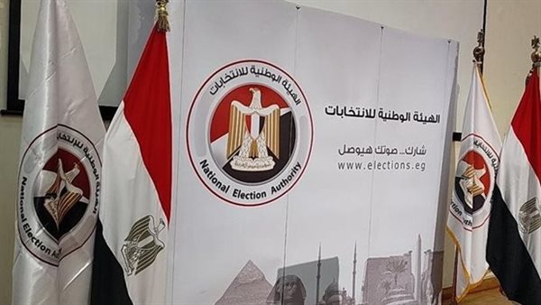 المستشار شادي رياض يستعرض تحديث قاعدة بيانات الناخبين وآلية عملها