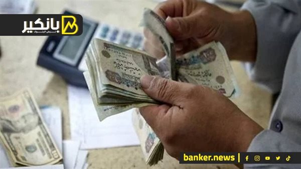 بعد خفض الفائدة.. هل الأفضل الاستثمار في الشهادات البنكية أم صناديق الاستثمار؟ بعد خفض الفائدة.. هل الأفضل الاستثمار في الشهادات البنكية أم صناديق الاستثمار؟